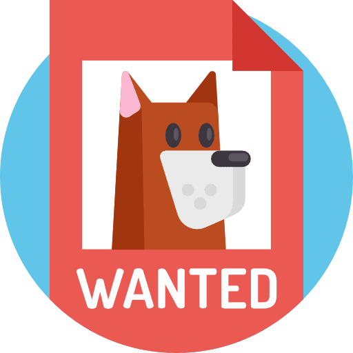 {"fr":"L'animal errant que vous avez perdu","en":"The stray animal you lost","ar":"\u0627\u0644\u062d\u064a\u0648\u0627\u0646 \u0627\u0644\u0636\u0627\u0644 \u0627\u0644\u0630\u064a \u0641\u0642\u062f\u062a\u0647"}